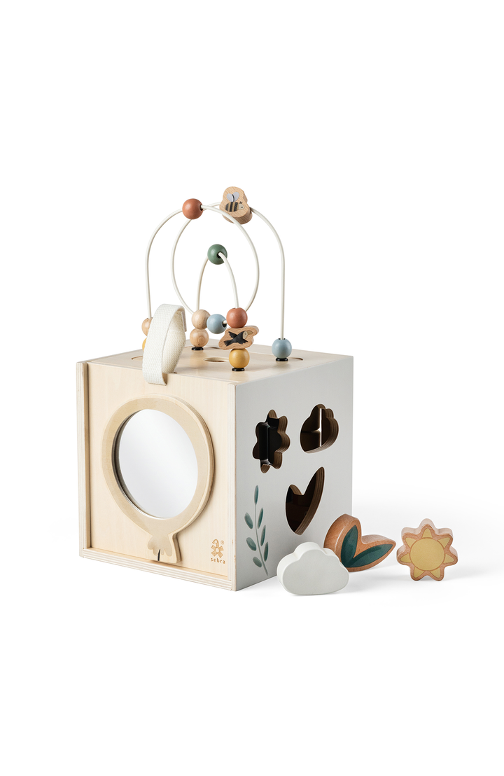 Motor Skills Play Box Wooden Sebra Leksak