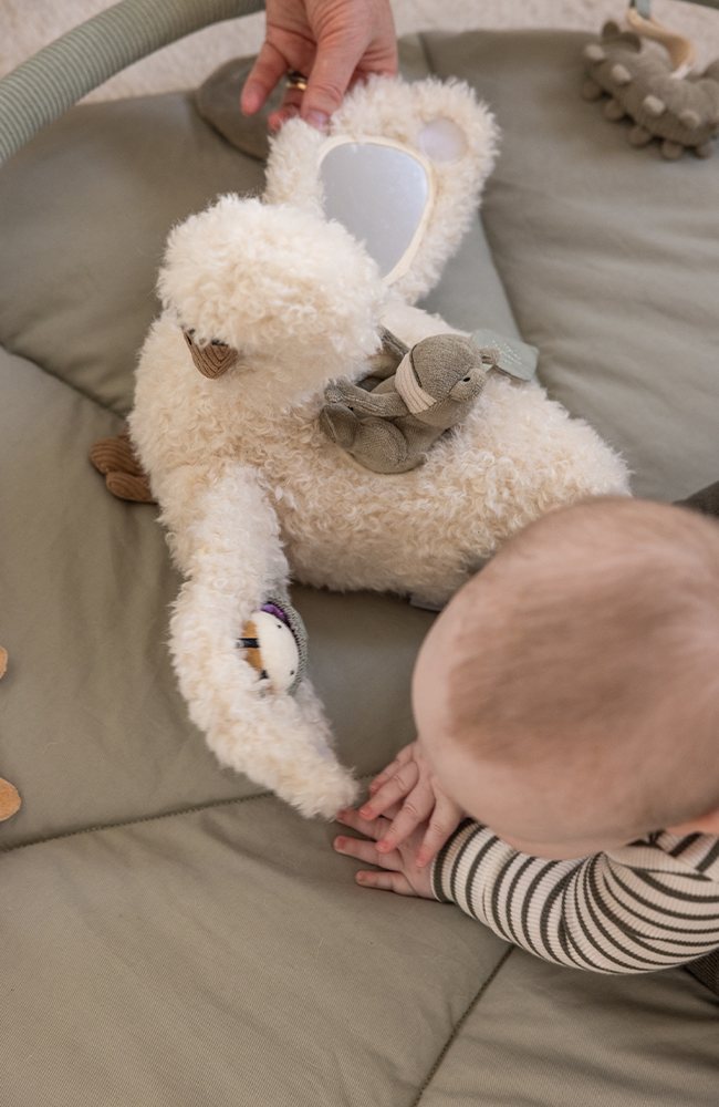 Activity Soft Toy - Swan