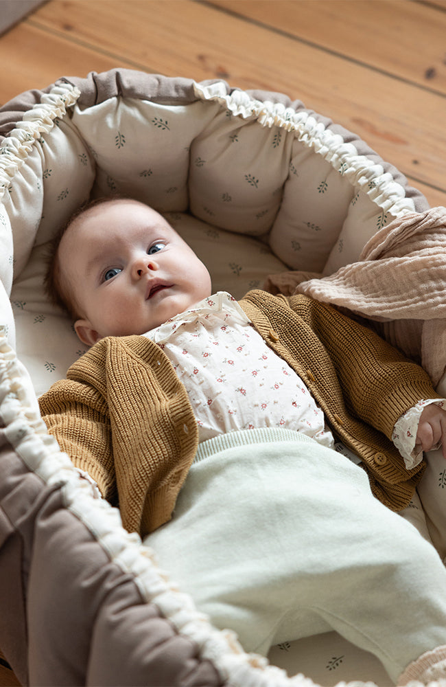 3-in-1 Babynest - Sophora Leaves Sebra babylift