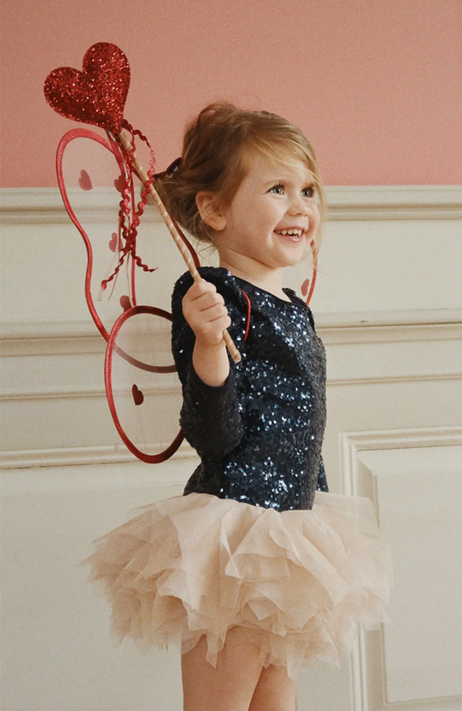 Fairy Costume - Heart