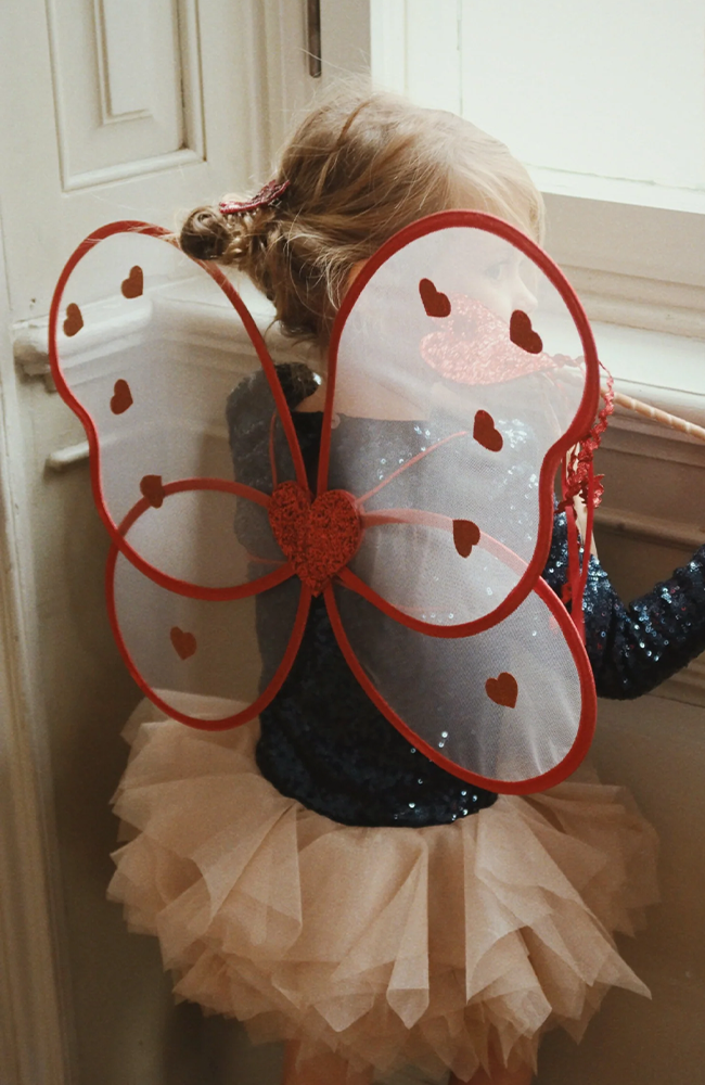 Fairy Costume - Heart